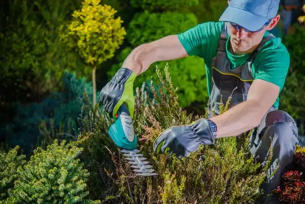 landscaping services Burlington Junction